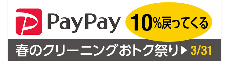PayPay 10%߂Ă