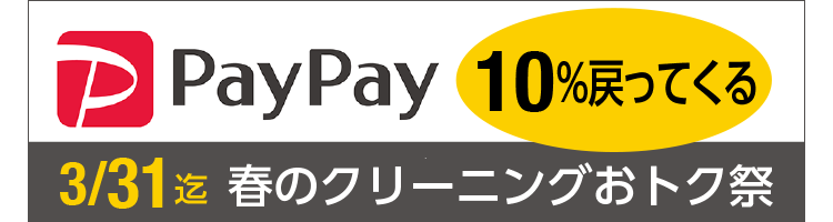 PayPay 10%߂Ă t̃N[jOgNՂ `3/31