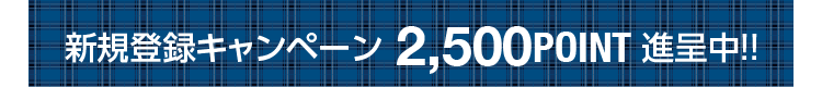 VKo^Ly[ 2,500POINTi撆!!