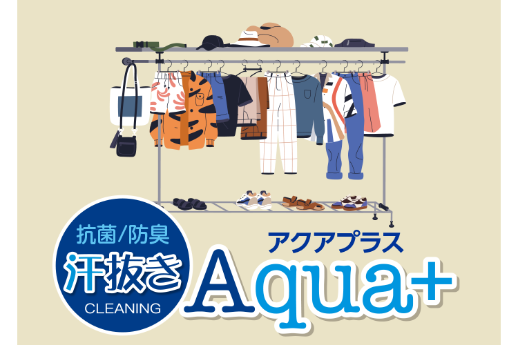 Rہ^hL  CLEANING ANAvX Aqua+