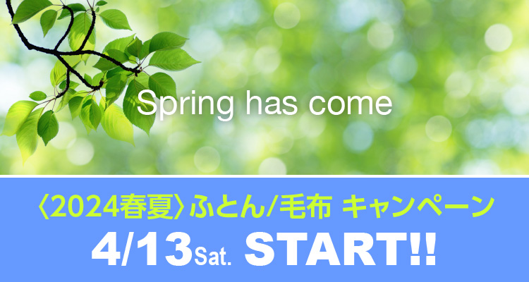Spring has come q2024tārӂƂ^ѕz Ly[ 4/13(y) X^[g!!