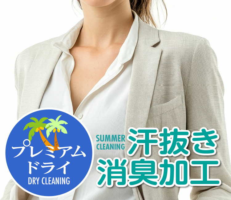 v~AhC DRY CLEANING SUMMER CLEANING LH
