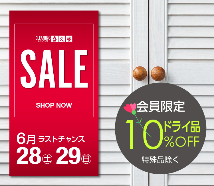 SALE 6Xg`X 28(y)E29()  hCi10%OFFqir