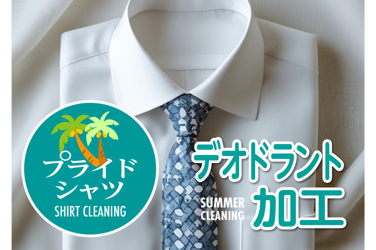 vChVc SHIRT CLEANING fIhgH SUMMER CLEANING