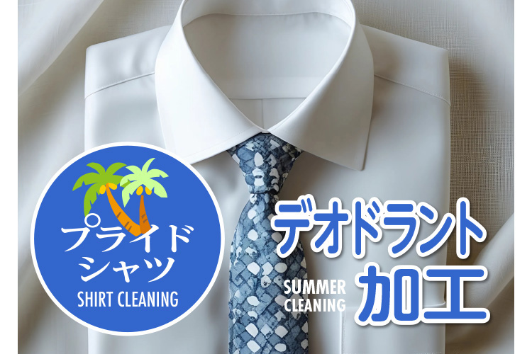 vChVc SHIRT CLEANING SUMMER CLEANING fIhgH