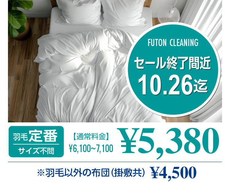 FUTON CLEANING Z[Iԋ 10.26 Hђ TCYs yʏ헿z6,100`7,100~  5,380~ HшȊO̕zcq|~r4,500~