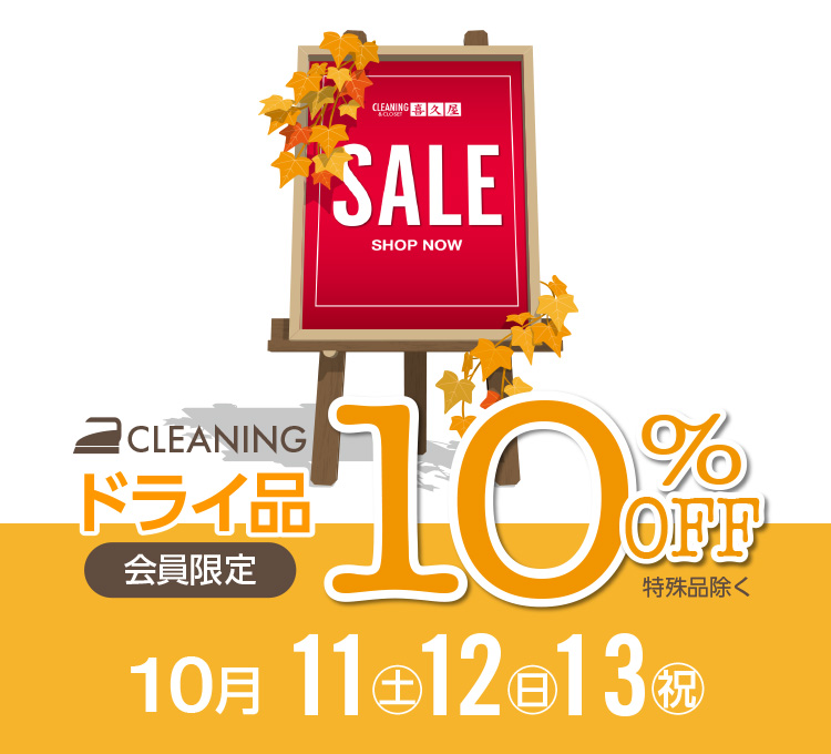 SALE CLEANING  hCi 10%OFF i 10 11(y)E12()E13(j)