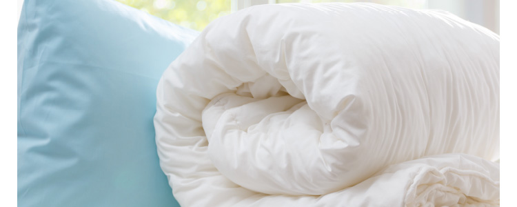 2026 �ӂƂ�E�ѕz�L�����y�[�� 4/11 Sat. START!!