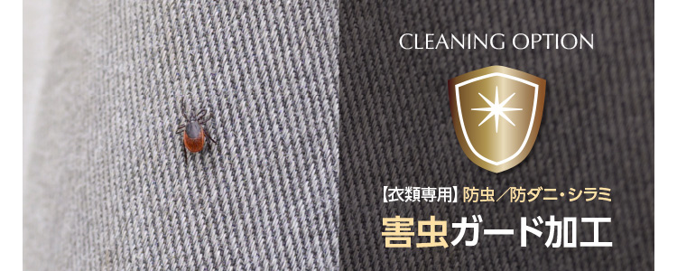 CLEANING OPTION �y�ߗސ�p�z�h���^�h�_�j�E�V���~ �Q���K�[�h���H